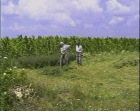 raw/uploads/WENETC/selsko1_mini.gif